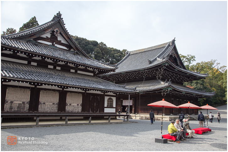 泉涌寺