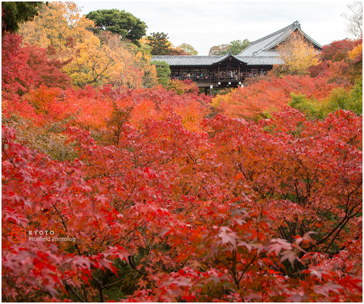 東福寺