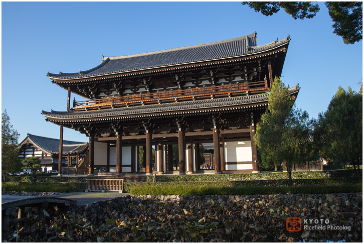 東福寺