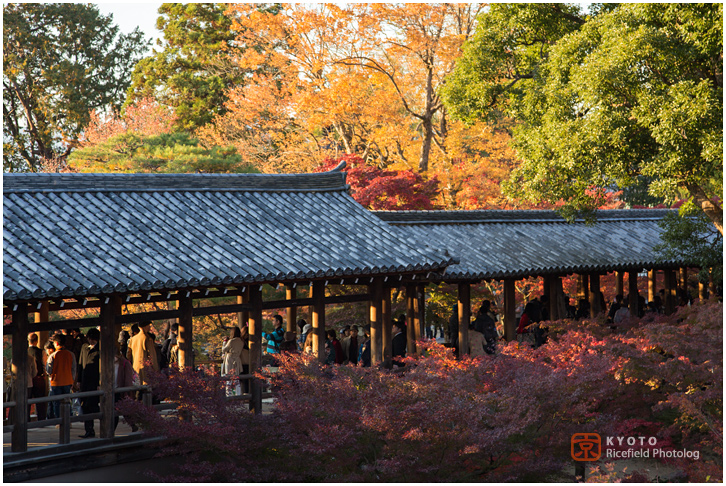 東福寺