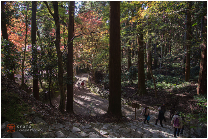 高山寺