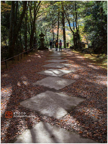 高山寺