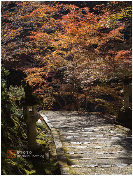 西明寺