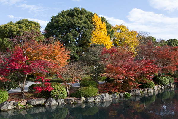 紅葉の京都｜泉涌寺・東福寺・東寺・毘沙門堂