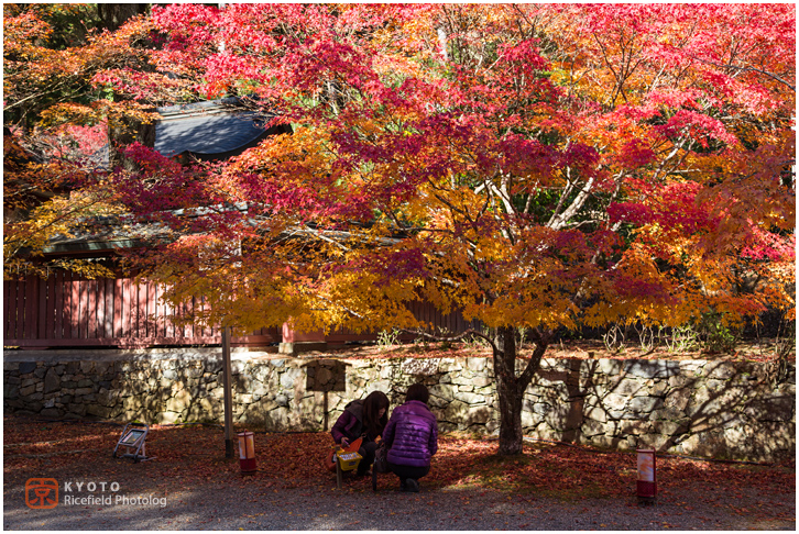 神護寺