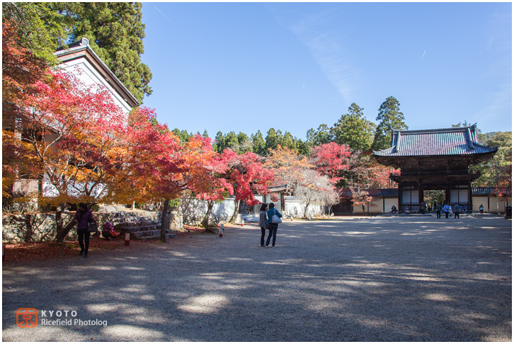 神護寺