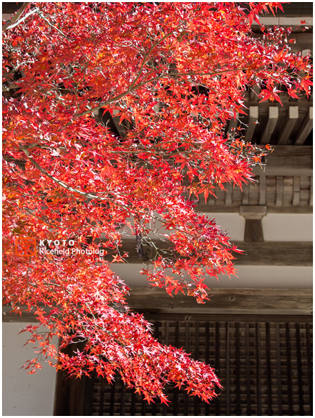 神護寺