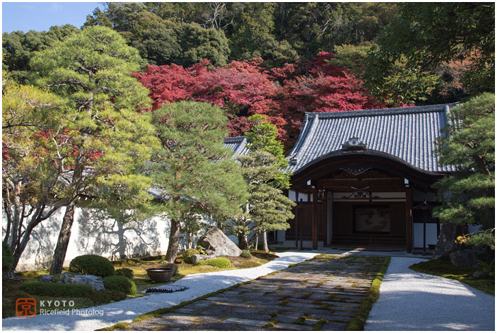 南禅寺