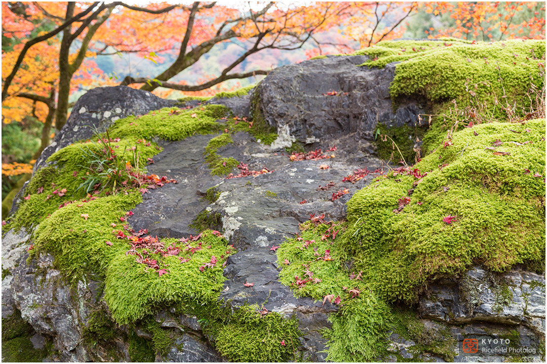 宝厳院