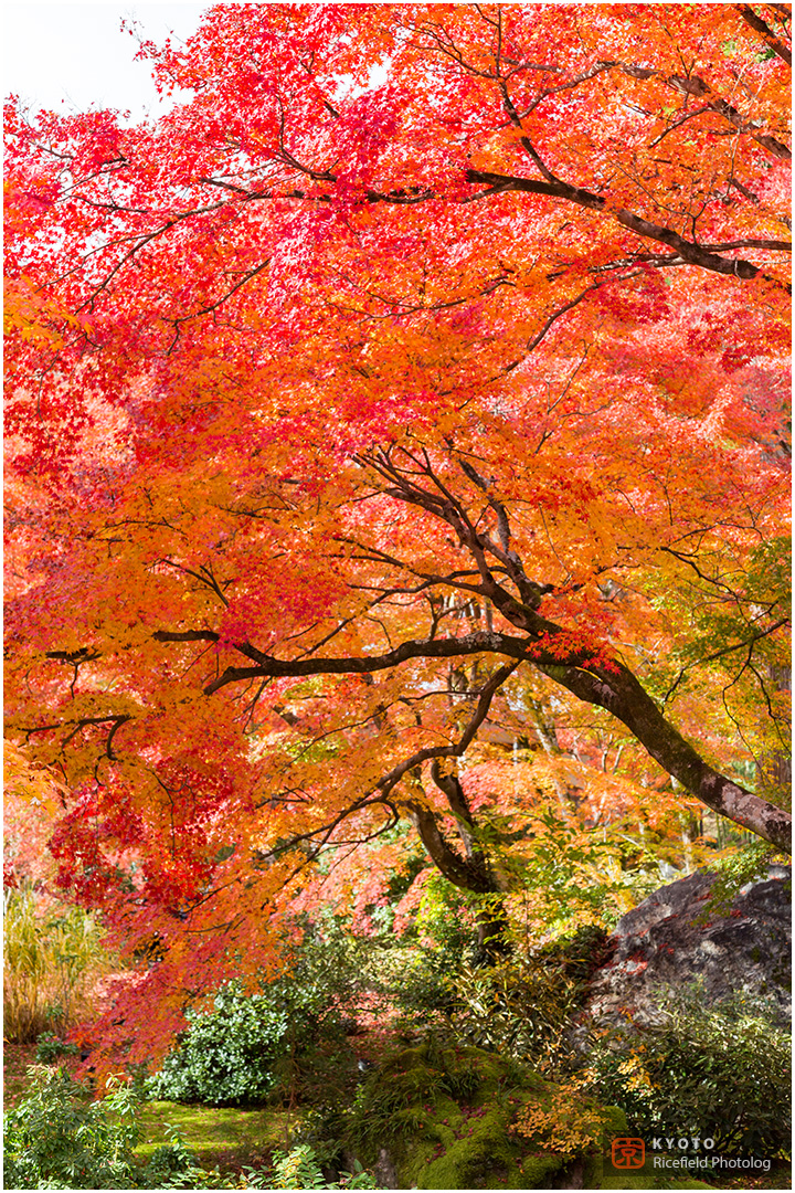 宝厳院