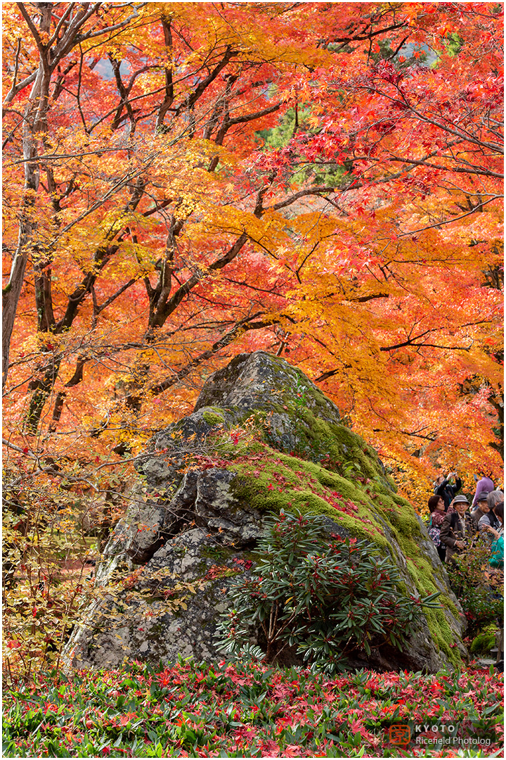 宝厳院