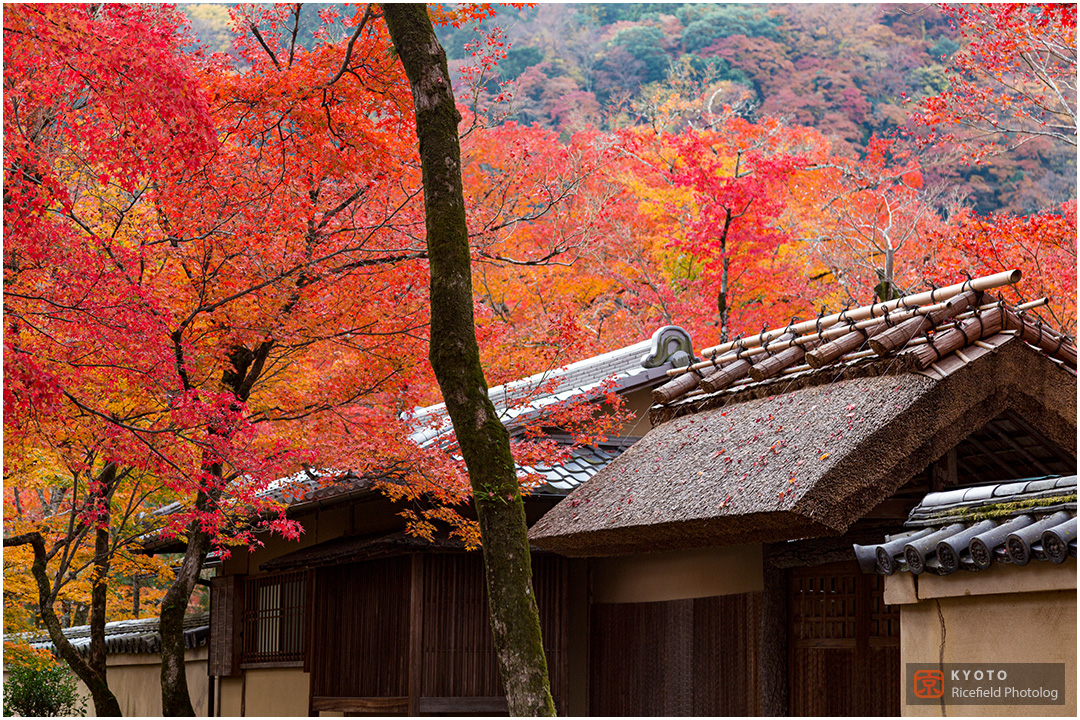 宝厳院