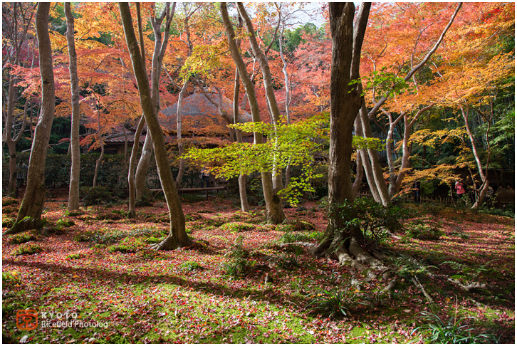 祇王寺