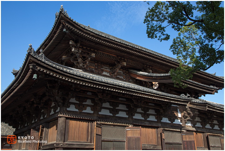 東寺