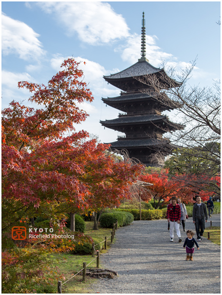 東寺