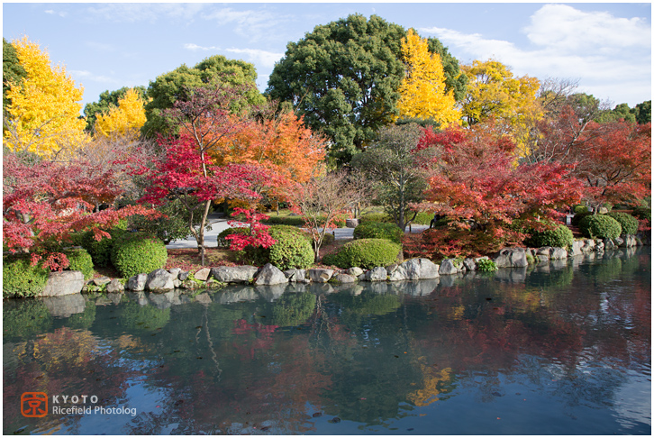 東寺