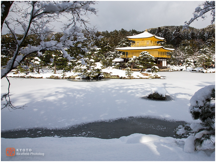 金閣寺　雪