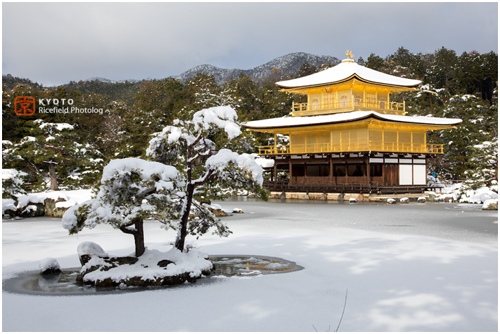 金閣寺　雪