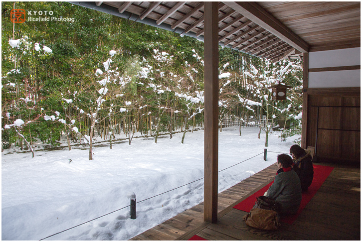 大徳寺 高桐院