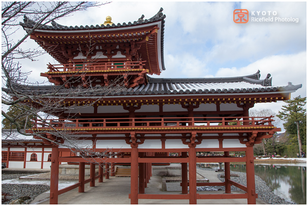 平等院 鳳凰堂