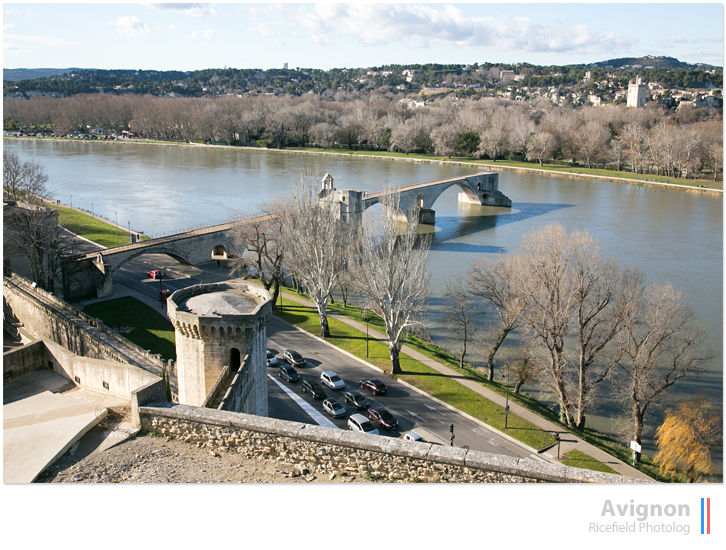 アビニョン avignon