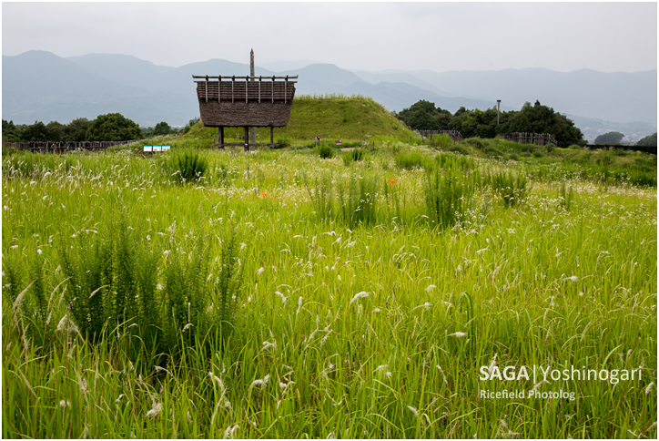 吉野ヶ里遺跡