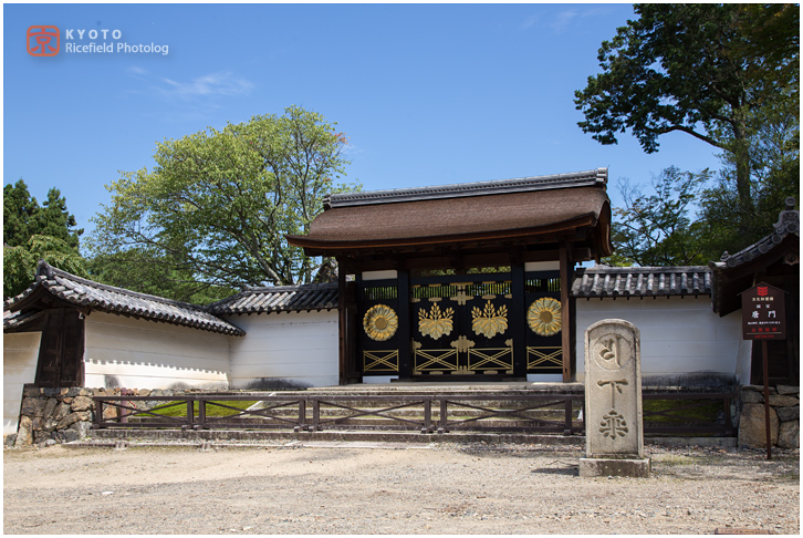 醍醐寺