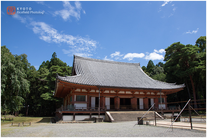 醍醐寺