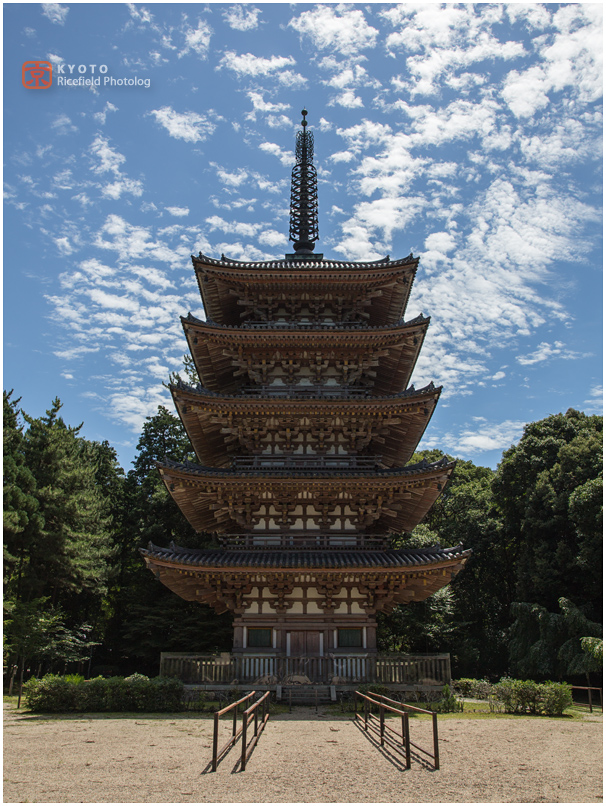 醍醐寺