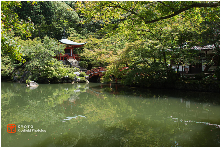 醍醐寺