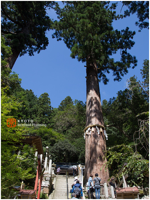 京都　鞍馬