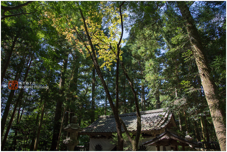 京都　鞍馬