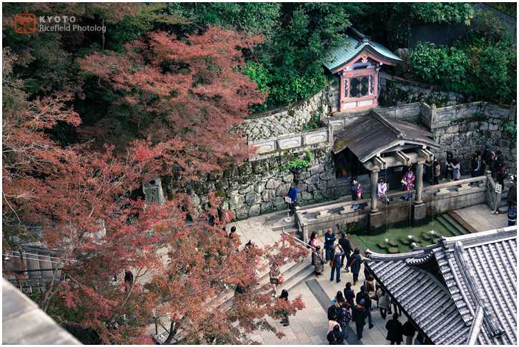 清水寺