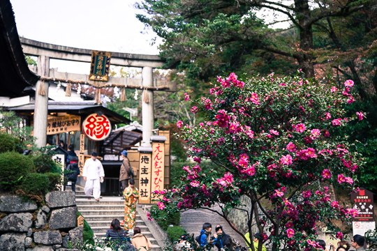 紅葉の京都｜清水寺・高台寺