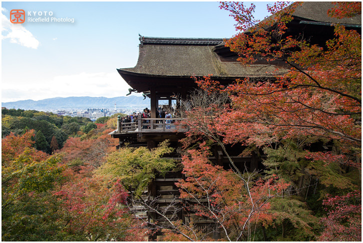 清水寺