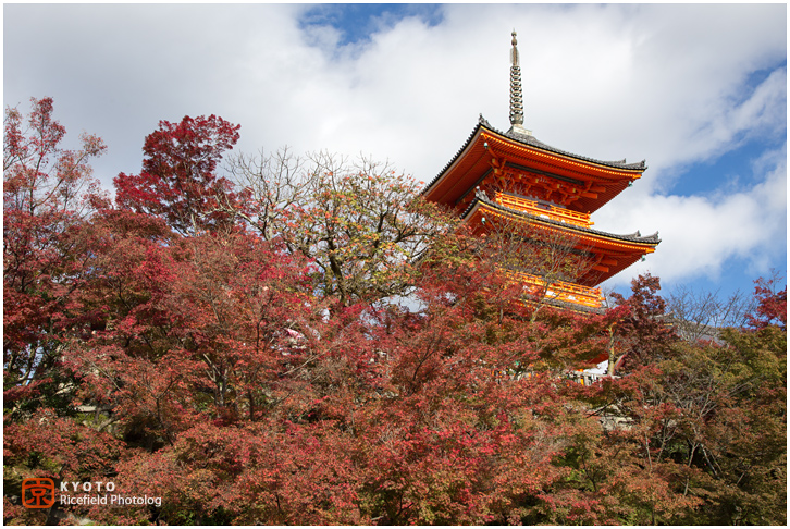 清水寺