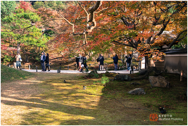 高台寺