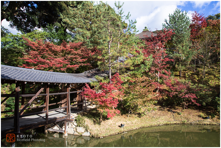 高台寺