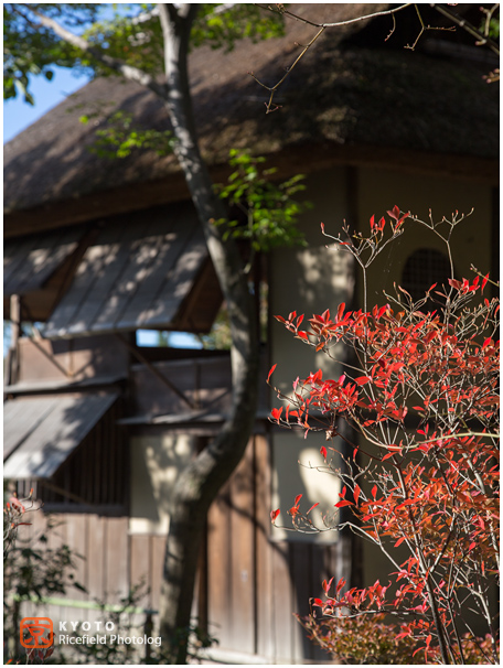 高台寺