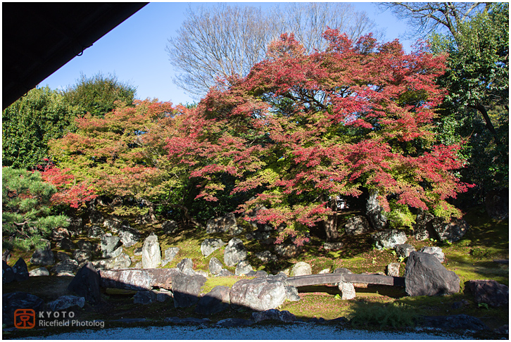 高台寺