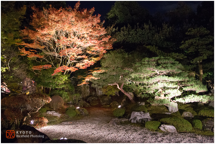 知恩院