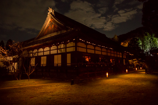 紅葉の京都｜青蓮院・知恩院（夜）