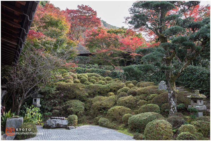 金福寺