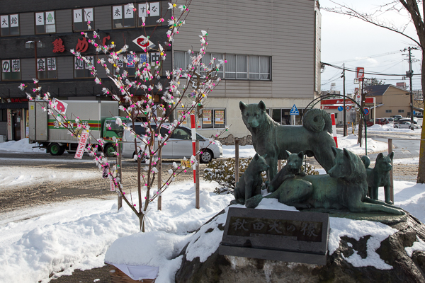 大館　秋田犬