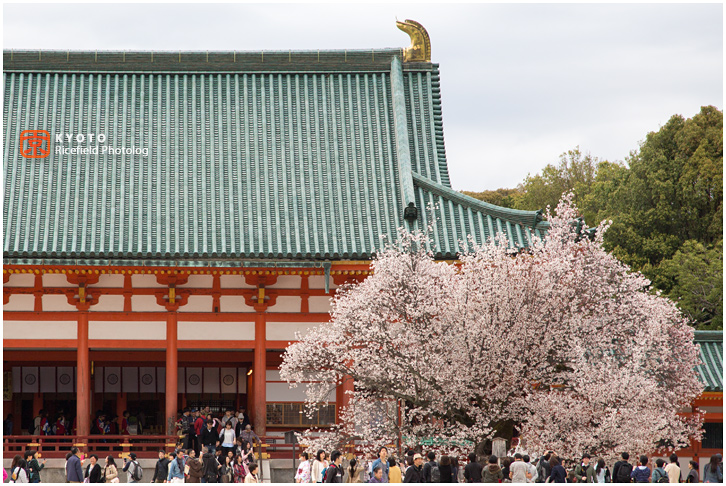 平安神宮