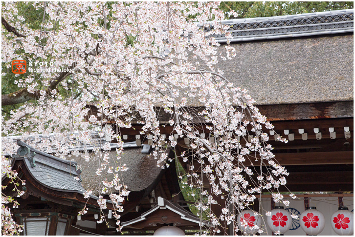 平野神社