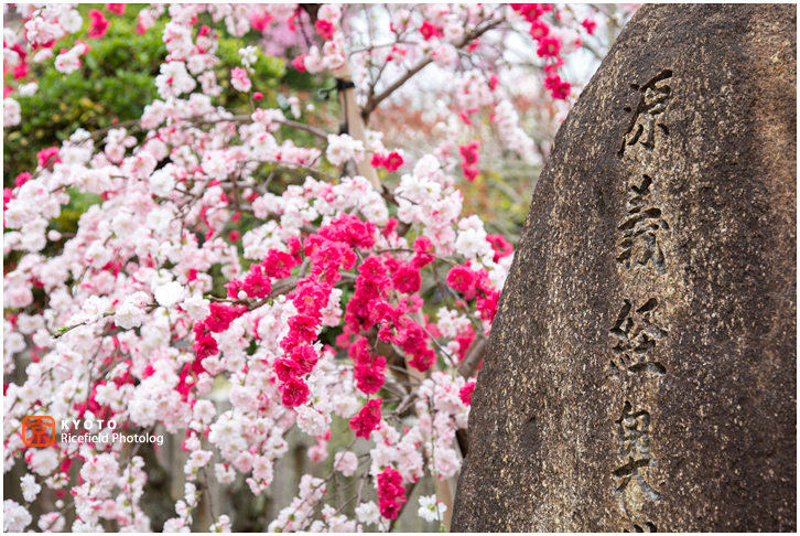 首途八幡宮