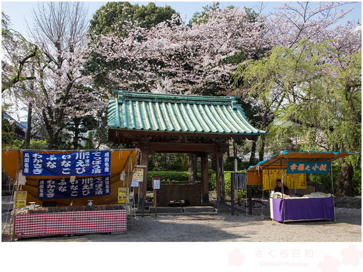 増上寺