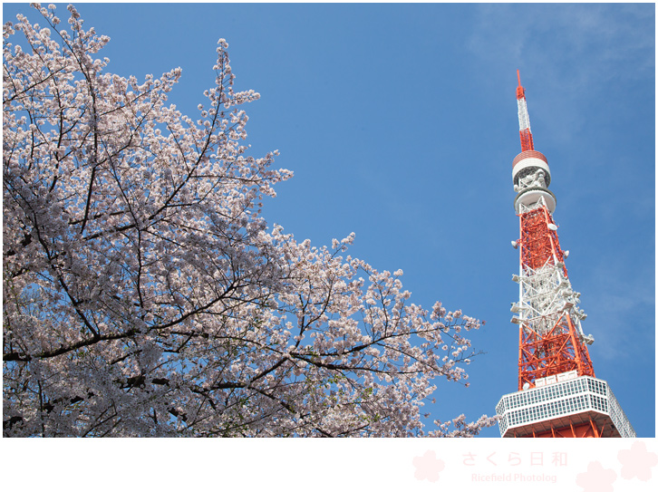 増上寺