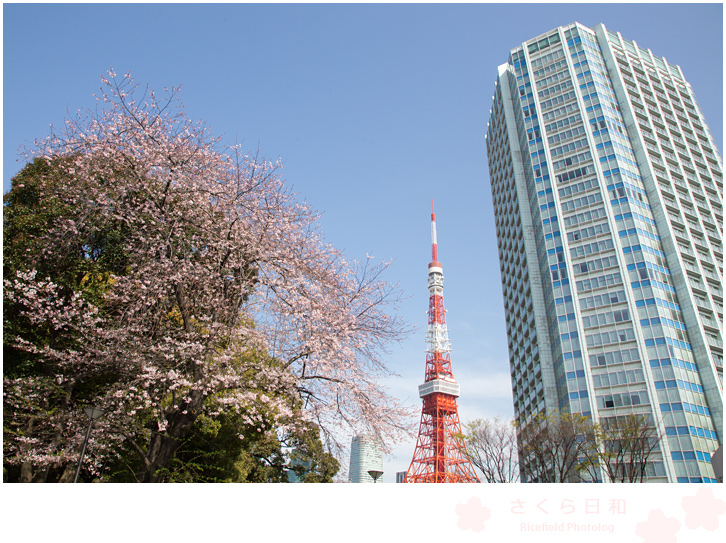 芝公園